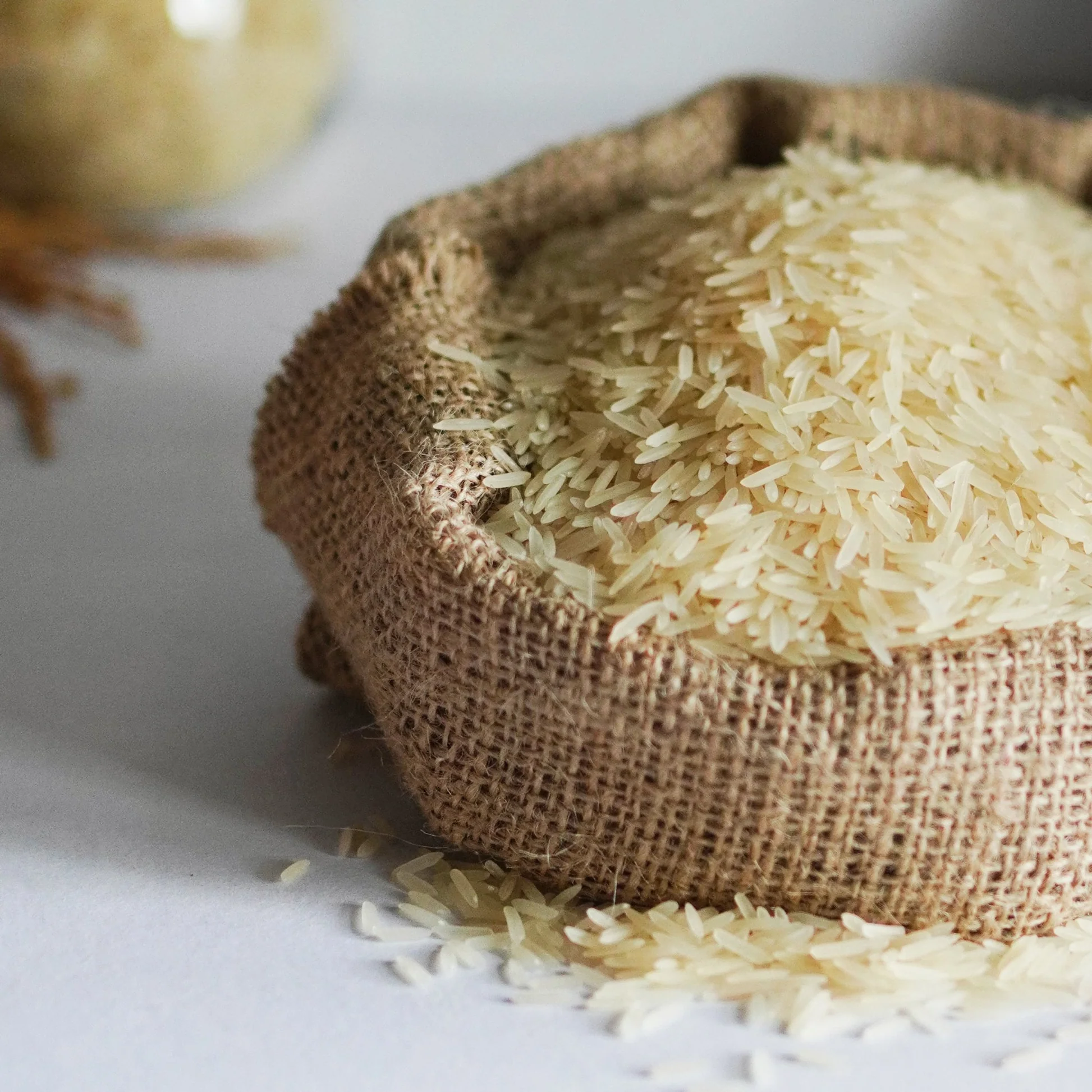 Premium basmati rice