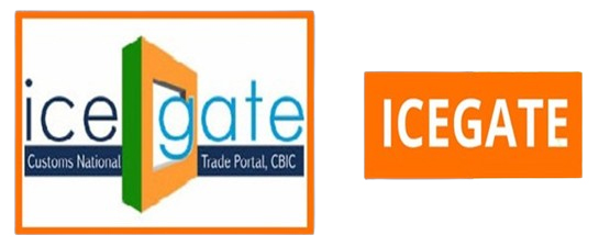 ICEGATE Registration — VNS Trade World