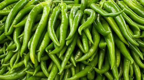 Bulk green chilli export